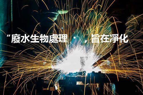 “廢水生物處理，旨在凈化水源，守護(hù)碧水藍(lán)天”